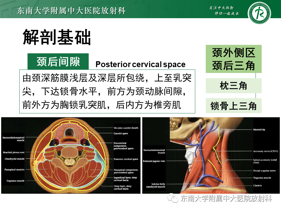 影像PPT - -19 影像PPT - -19