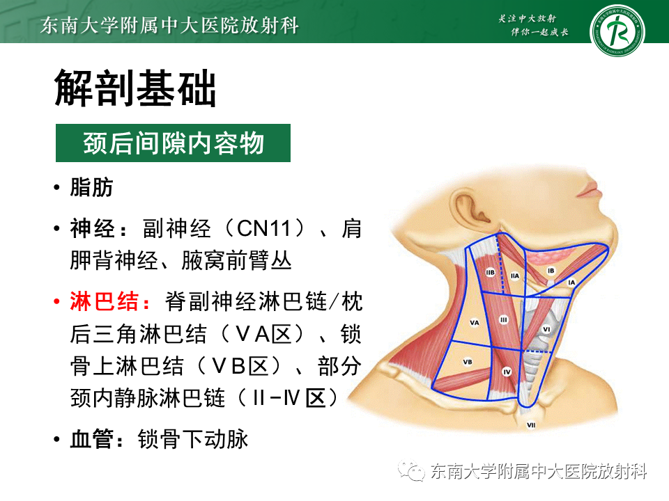 影像PPT - -20 影像PPT - -20
