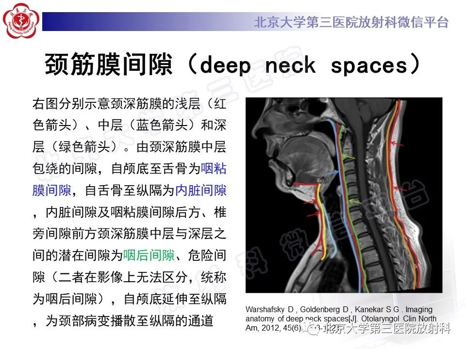 影像PPT - 【PPT】甲状旁腺腺瘤自发破裂-20