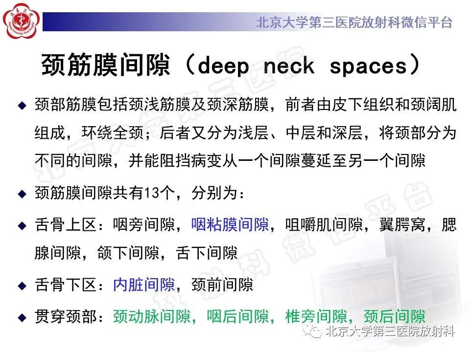 影像PPT - 【PPT】甲状旁腺腺瘤自发破裂-19