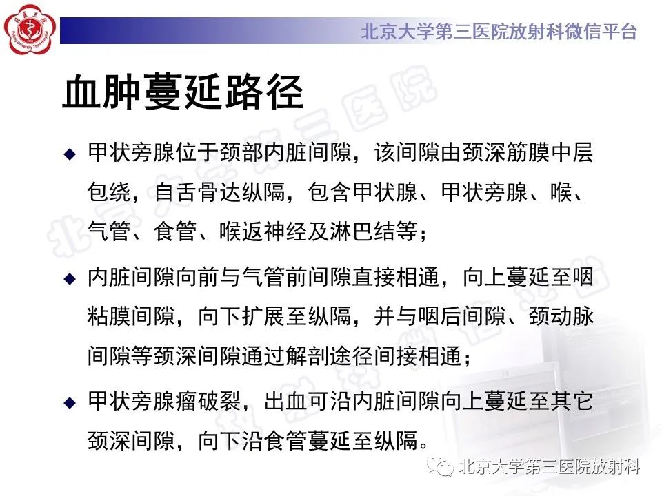影像PPT - 【PPT】甲状旁腺腺瘤自发破裂-22