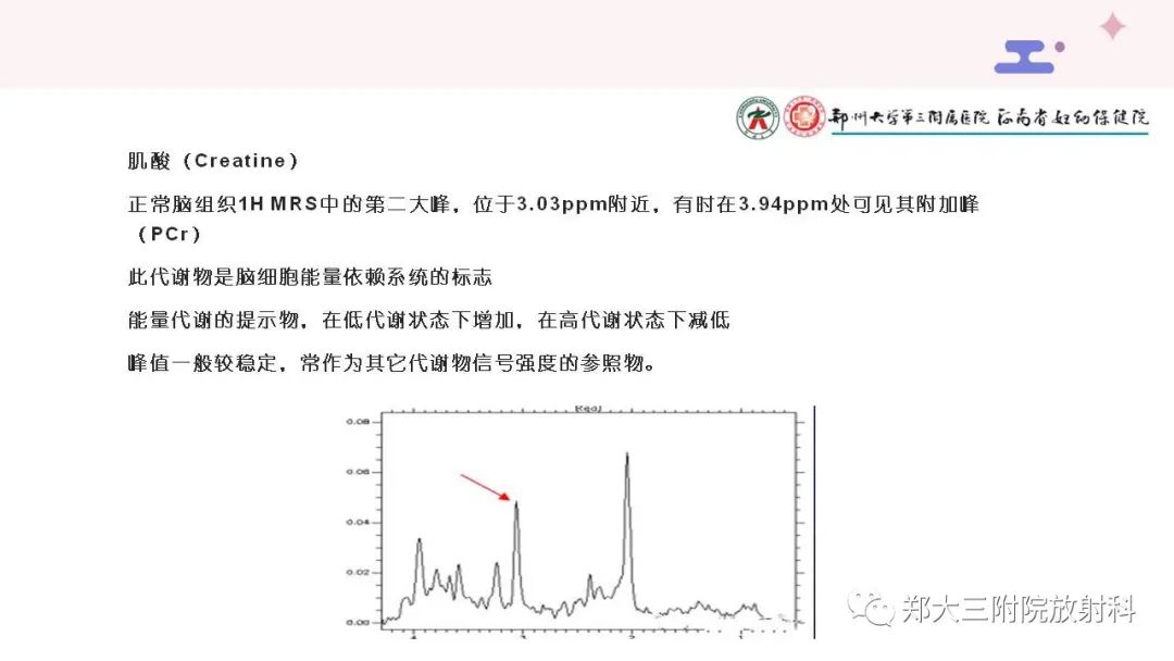 影像PPT - 【PPT】波谱在中枢神经系统的临床应用-5