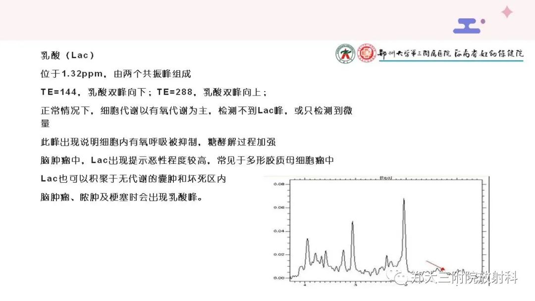 影像PPT - 【PPT】波谱在中枢神经系统的临床应用-7