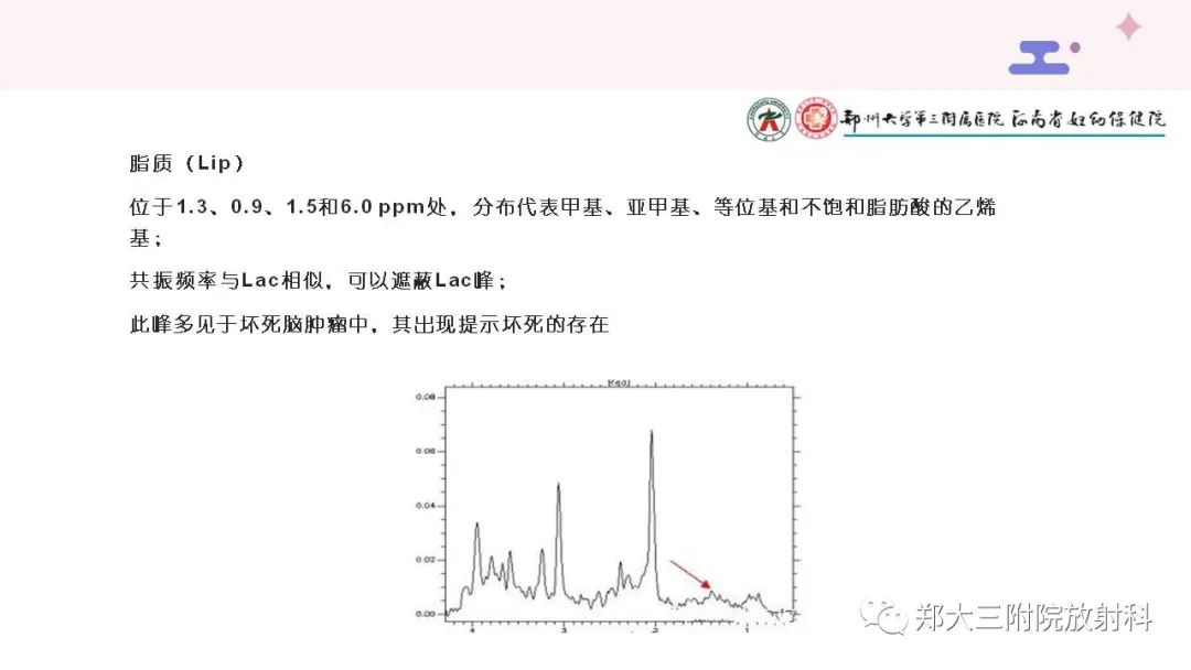 影像PPT - 【PPT】波谱在中枢神经系统的临床应用-8