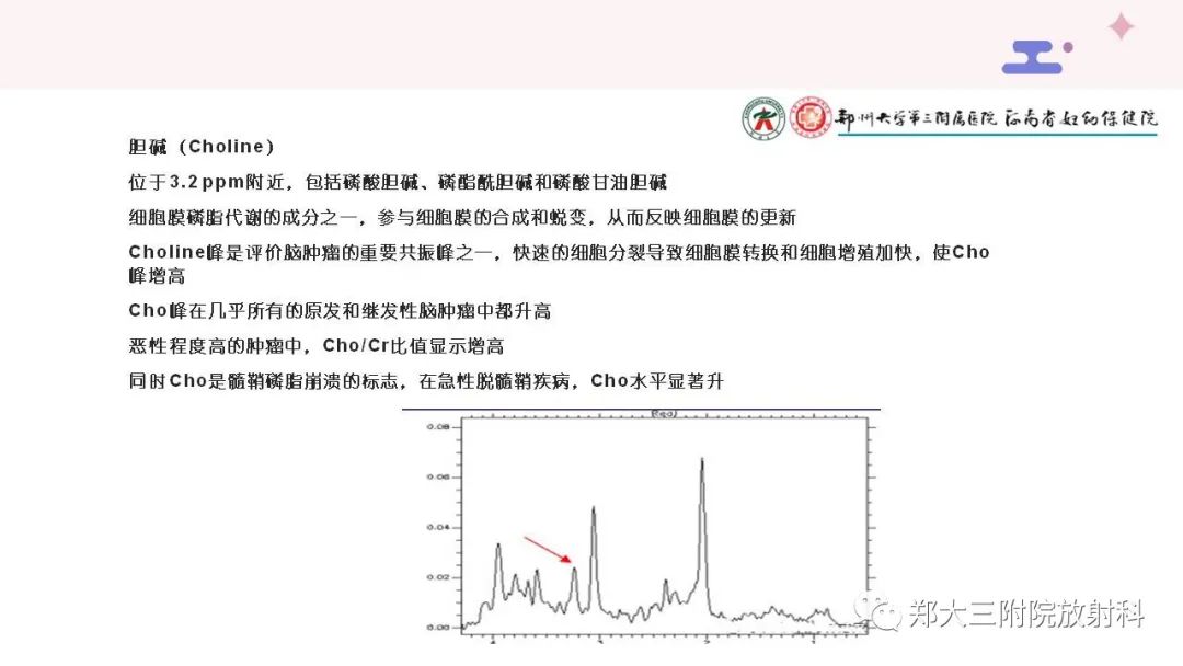 影像PPT - 【PPT】波谱在中枢神经系统的临床应用-6