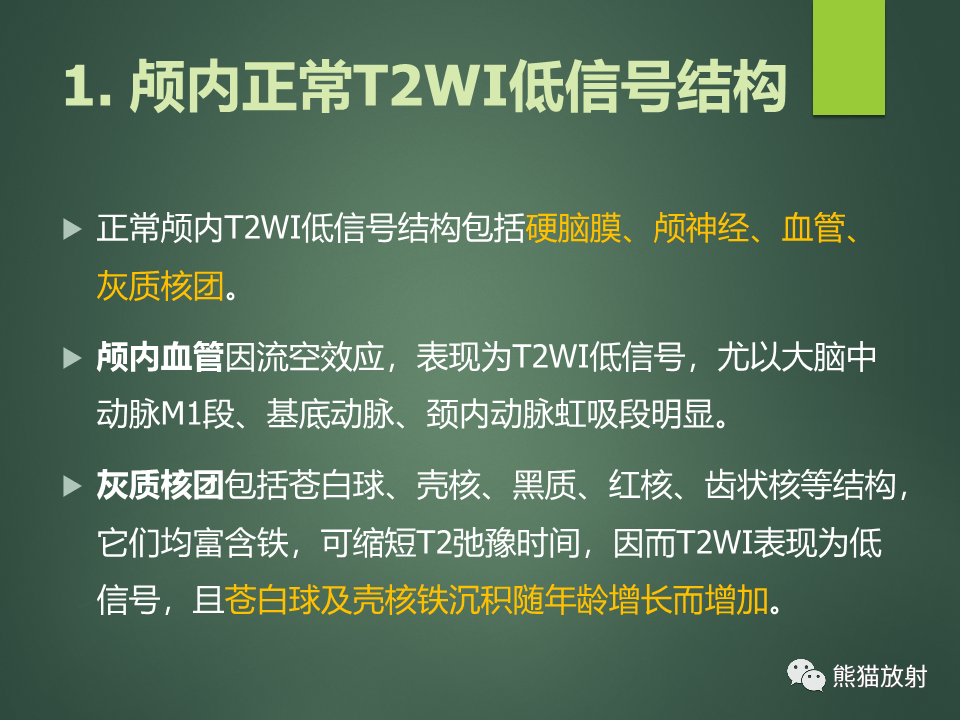 影像PPT - 【PPT】颅内T2WI低信号疾病诊断思路分析-3