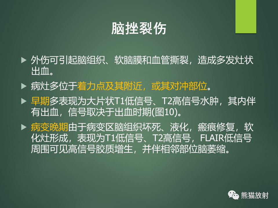 影像PPT - 【PPT】颅内T2WI低信号疾病诊断思路分析-10