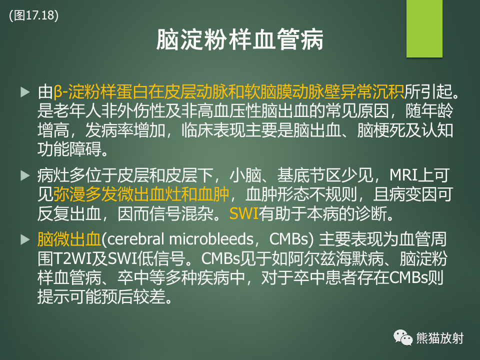 影像PPT - 【PPT】颅内T2WI低信号疾病诊断思路分析-15