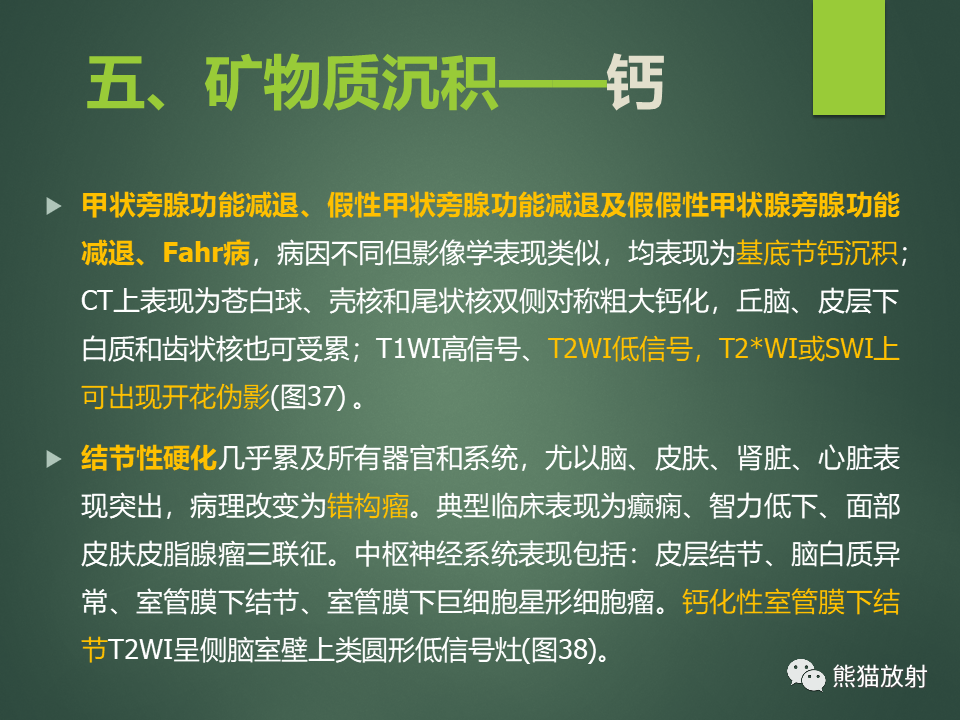 影像PPT - 【PPT】颅内T2WI低信号疾病诊断思路分析-28