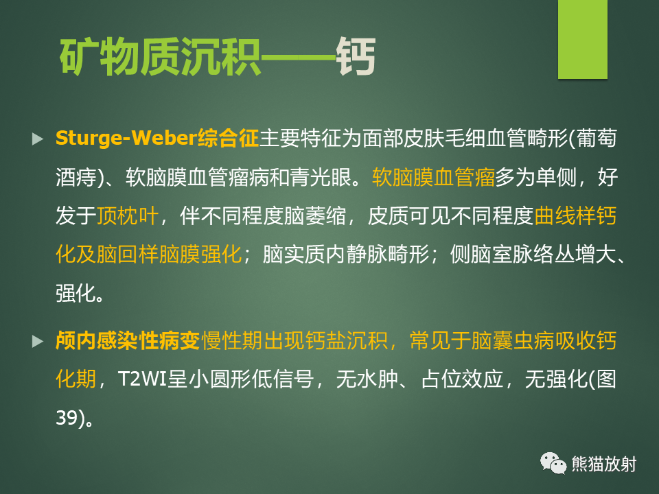 影像PPT - 【PPT】颅内T2WI低信号疾病诊断思路分析-29