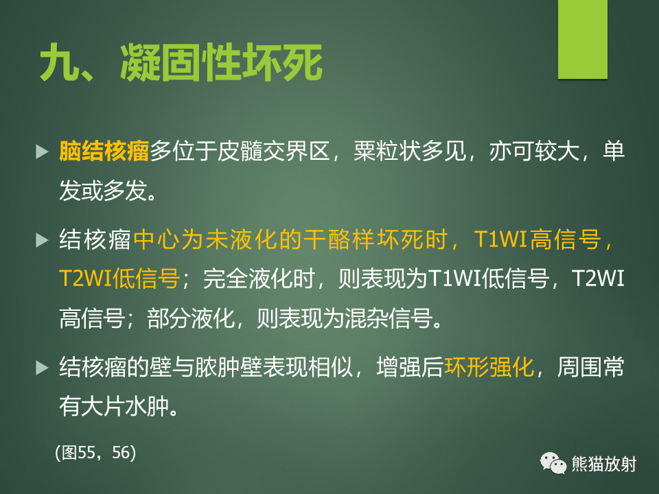影像PPT - 【PPT】颅内T2WI低信号疾病诊断思路分析-40