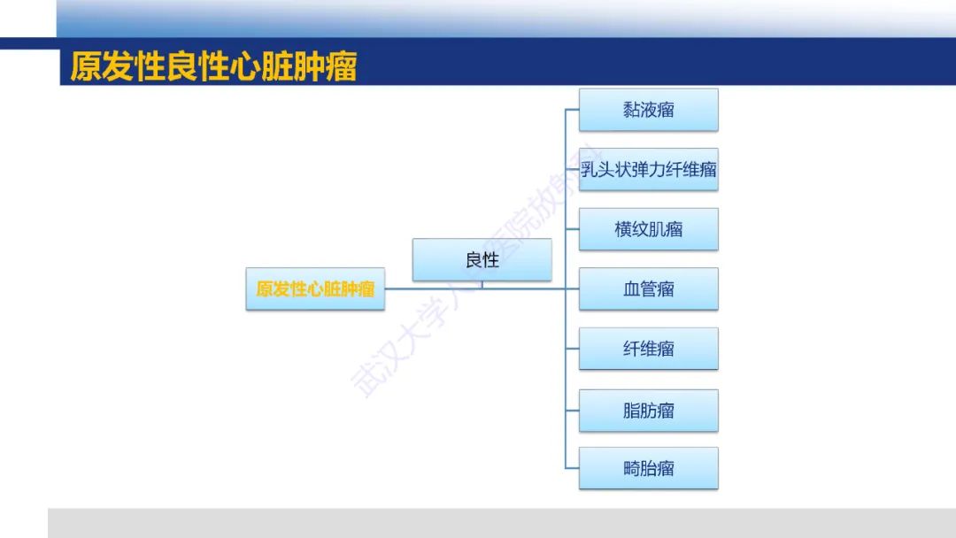 影像PPT - 【PPT】心脏原发肿瘤MR诊断-12