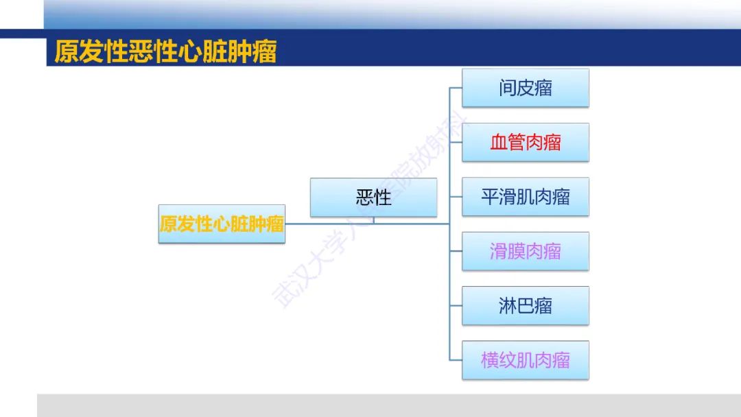 影像PPT - 【PPT】心脏原发肿瘤MR诊断-42