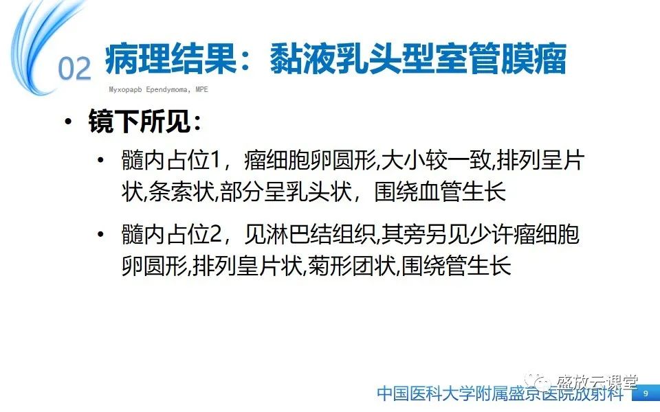 影像PPT - 【PPT】圆锥马尾型粘液乳头型室管膜瘤-9