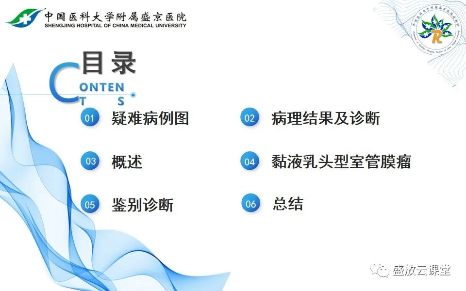 影像PPT - 【PPT】圆锥马尾型粘液乳头型室管膜瘤-12