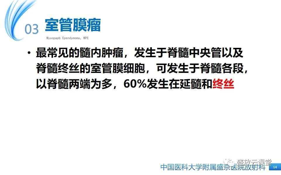 影像PPT - 【PPT】圆锥马尾型粘液乳头型室管膜瘤-14
