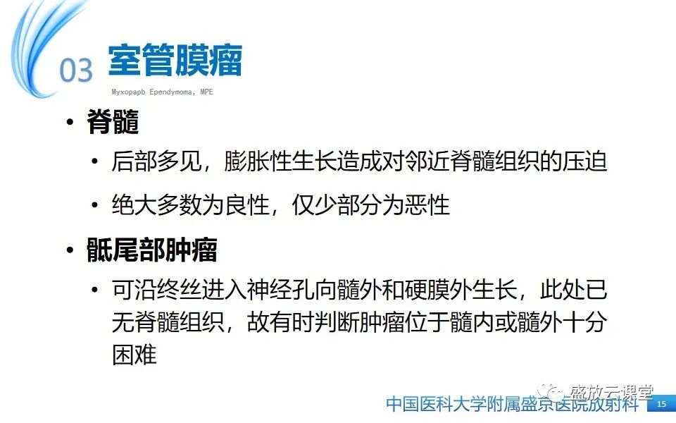 影像PPT - 【PPT】圆锥马尾型粘液乳头型室管膜瘤-15