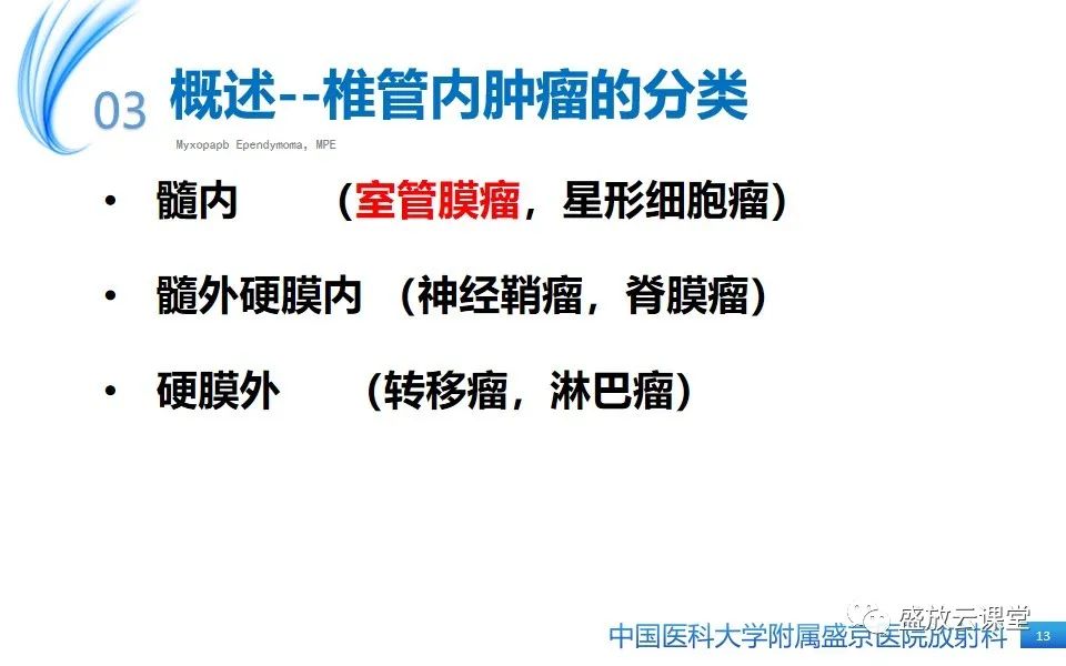 影像PPT - 【PPT】圆锥马尾型粘液乳头型室管膜瘤-13