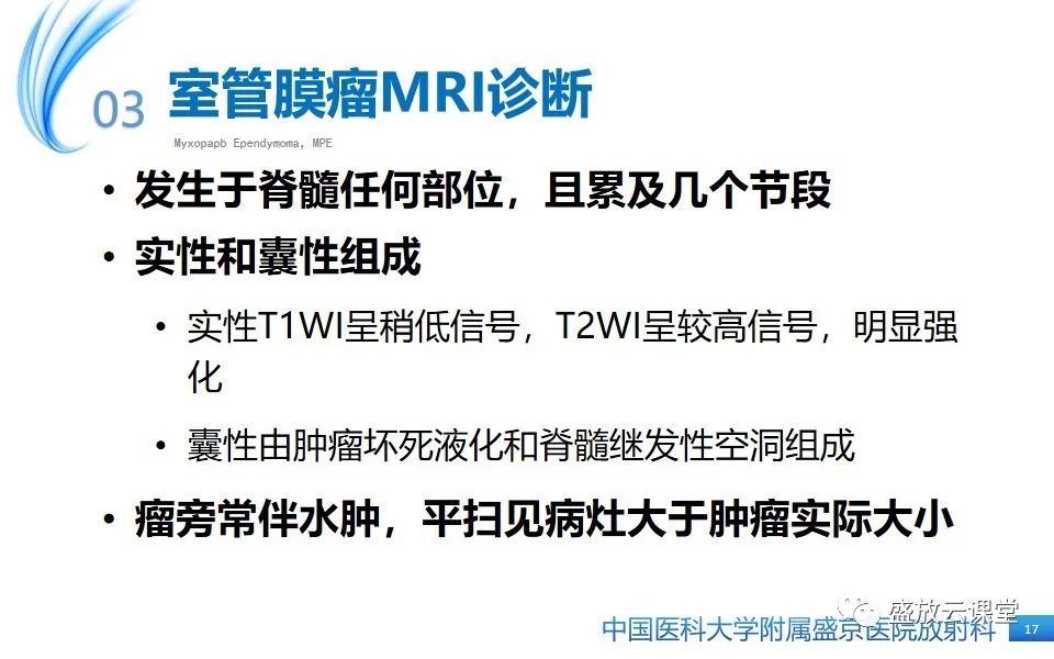 影像PPT - 【PPT】圆锥马尾型粘液乳头型室管膜瘤-17
