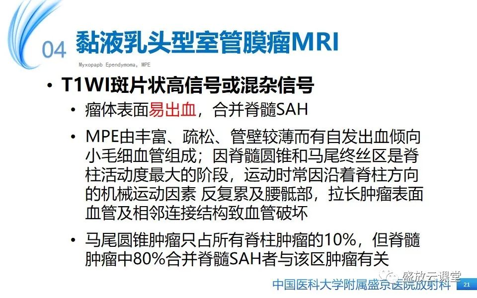 影像PPT - 【PPT】圆锥马尾型粘液乳头型室管膜瘤-21