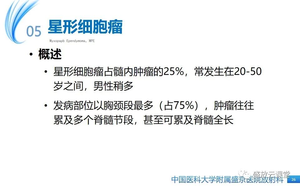 影像PPT - 【PPT】圆锥马尾型粘液乳头型室管膜瘤-26