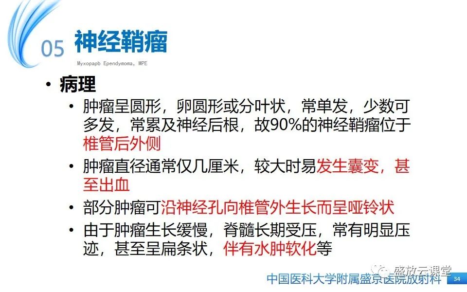 影像PPT - 【PPT】圆锥马尾型粘液乳头型室管膜瘤-34
