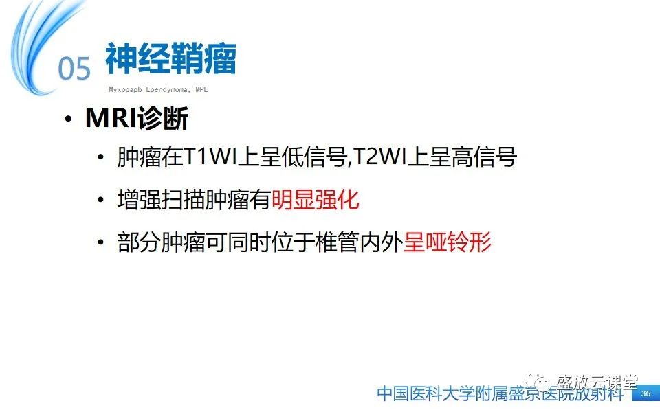 影像PPT - 【PPT】圆锥马尾型粘液乳头型室管膜瘤-36