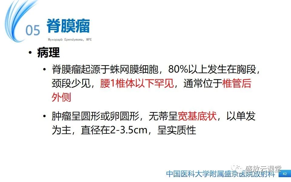 影像PPT - 【PPT】圆锥马尾型粘液乳头型室管膜瘤-42