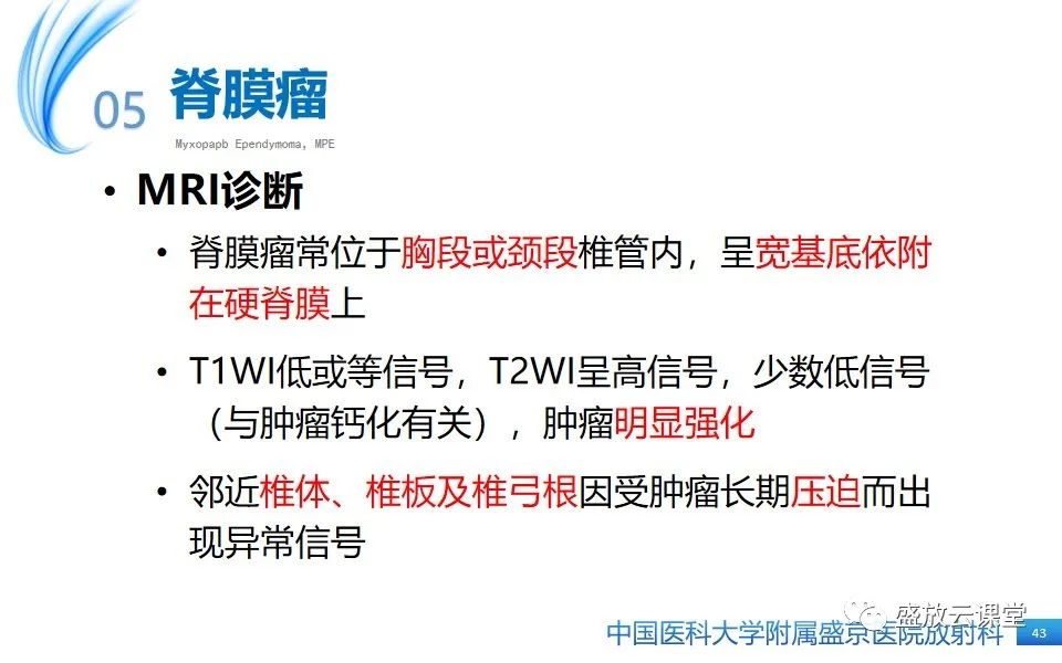 影像PPT - 【PPT】圆锥马尾型粘液乳头型室管膜瘤-43