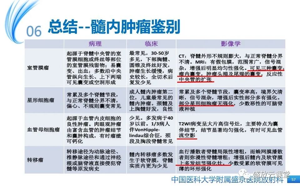 影像PPT - 【PPT】圆锥马尾型粘液乳头型室管膜瘤-57