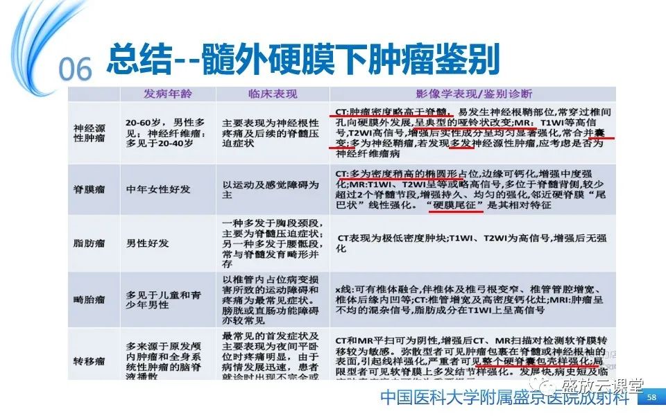 影像PPT - 【PPT】圆锥马尾型粘液乳头型室管膜瘤-58