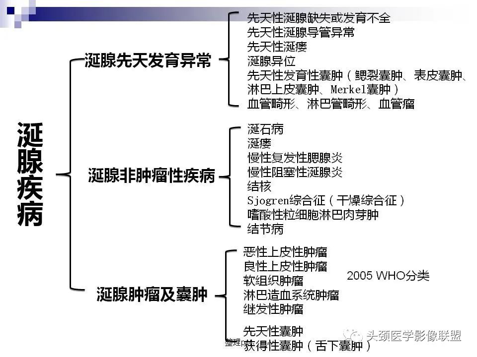影像PPT - 【PPT】涎腺疾病的影像诊断-2