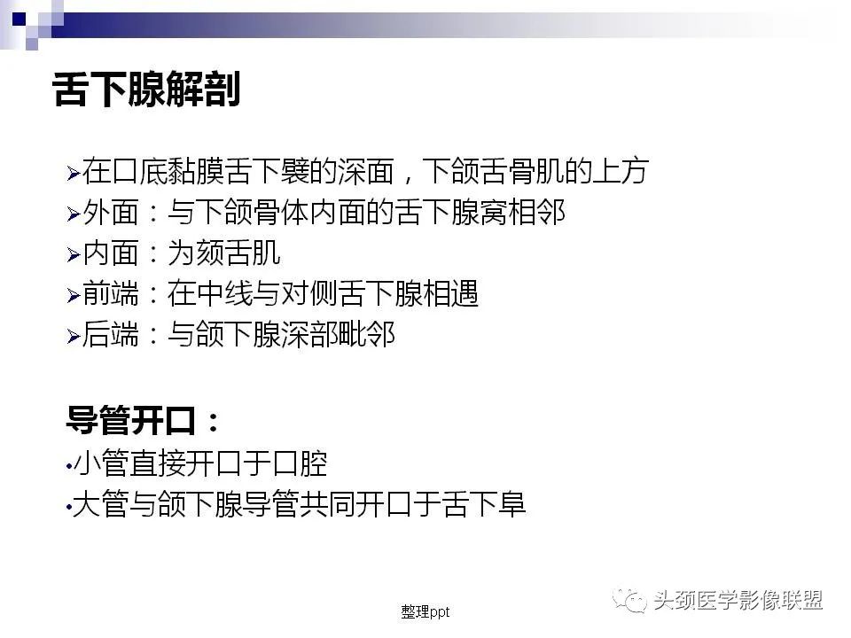 影像PPT - 【PPT】涎腺疾病的影像诊断-11