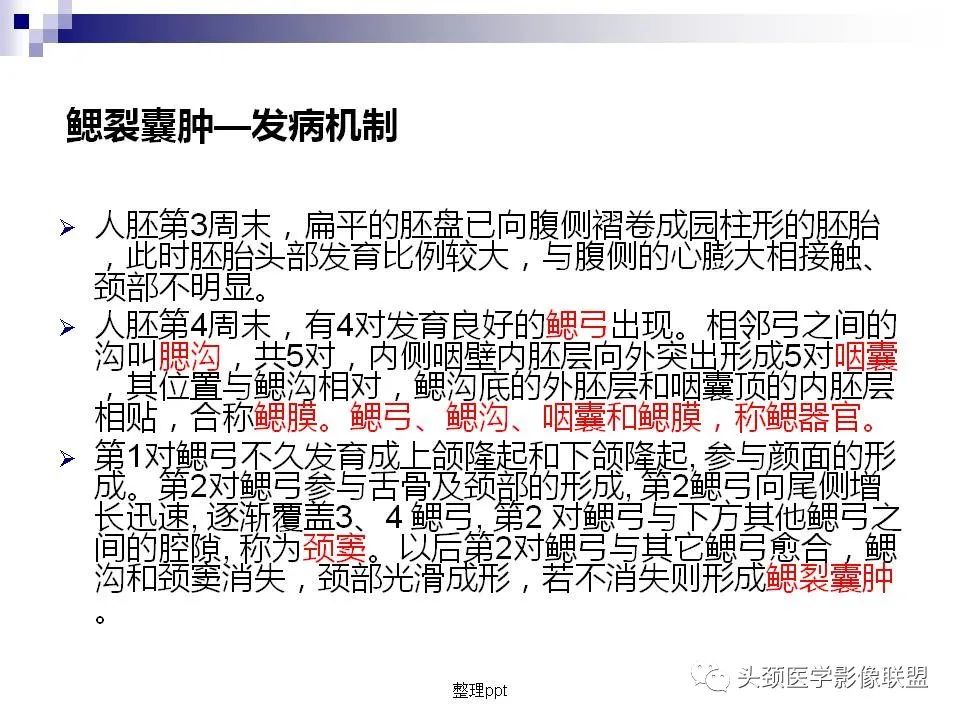 影像PPT - 【PPT】涎腺疾病的影像诊断-26