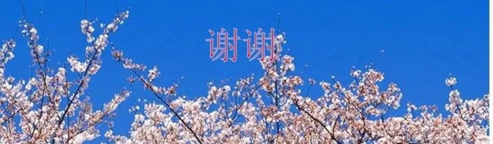 影像PPT - 【PPT】涎腺疾病的影像诊断-78