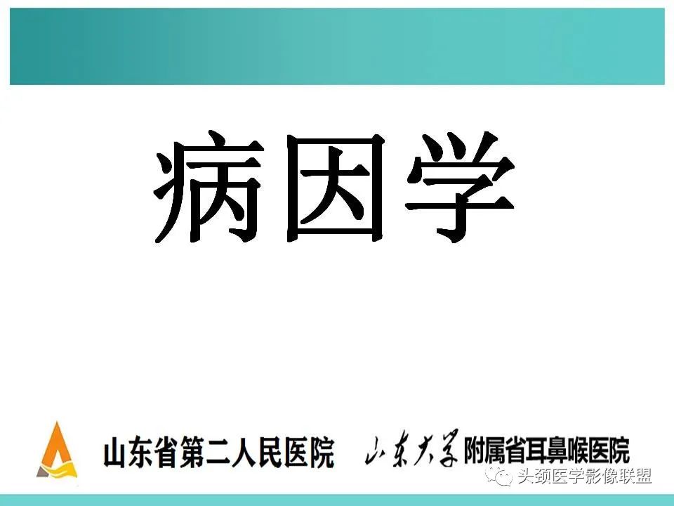 影像PPT - 【PPT】慢性中耳乳突炎-13