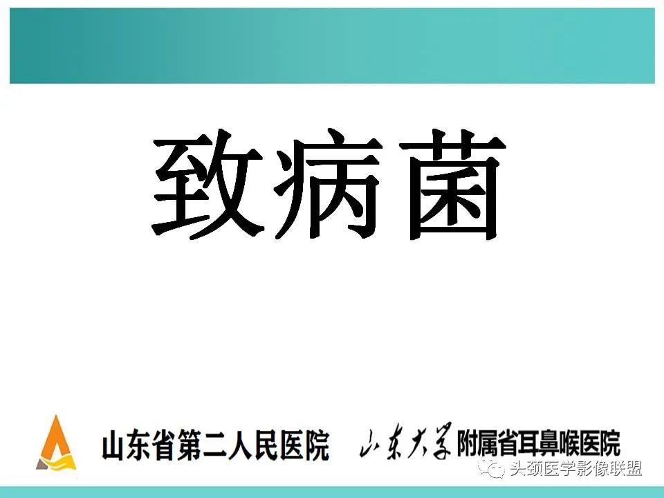 影像PPT - 【PPT】慢性中耳乳突炎-17