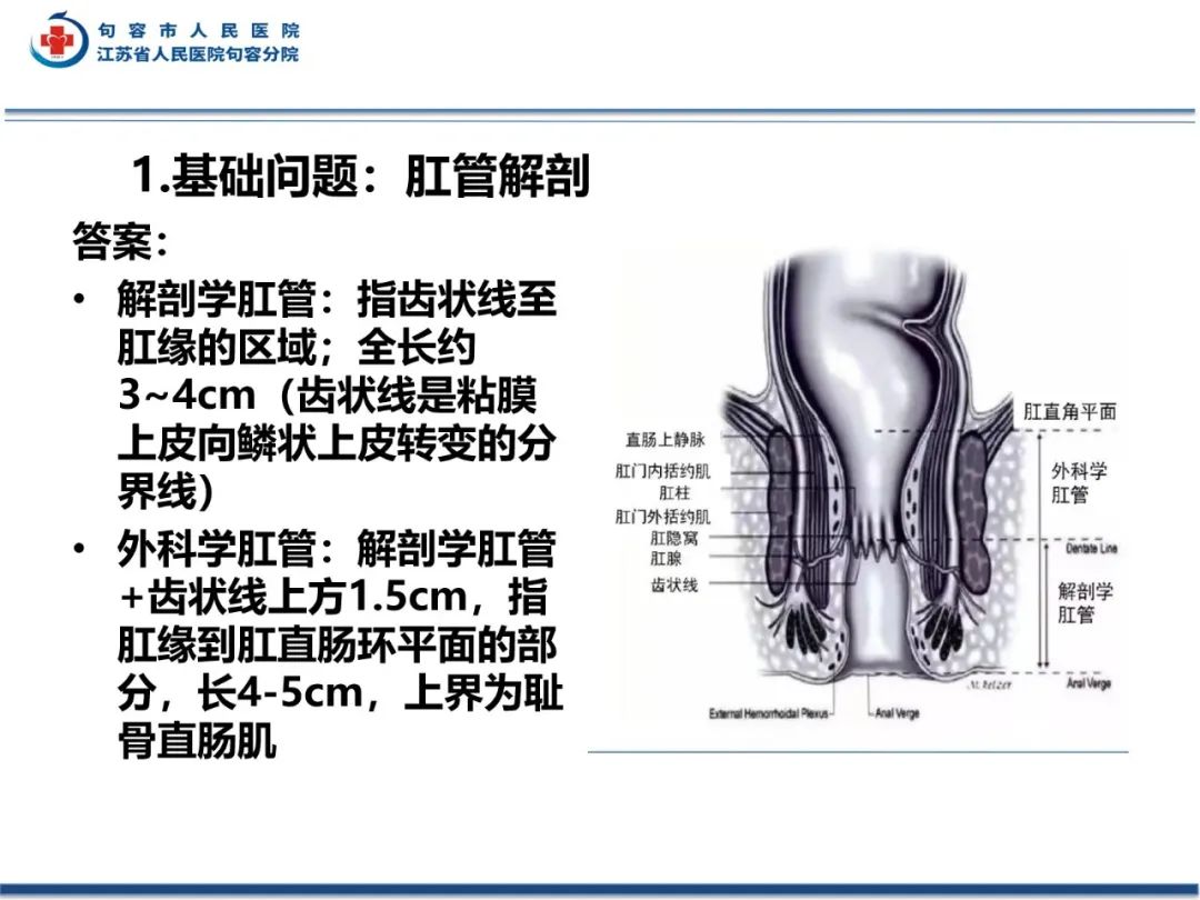 影像PPT - 【PPT】肛瘘-8