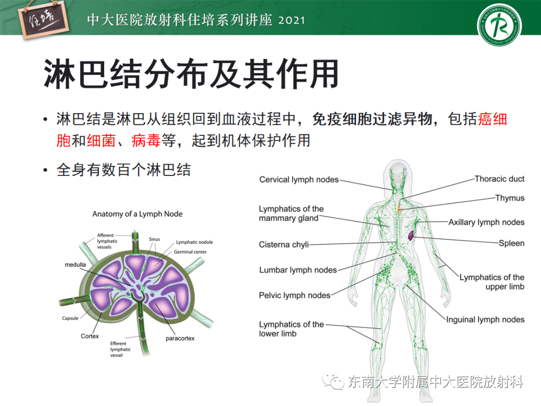 影像PPT - 【PPT】多发性淋巴结增大影像诊断思路-17 影像PPT - 【PPT】多发性淋巴结增大影像诊断思路-17