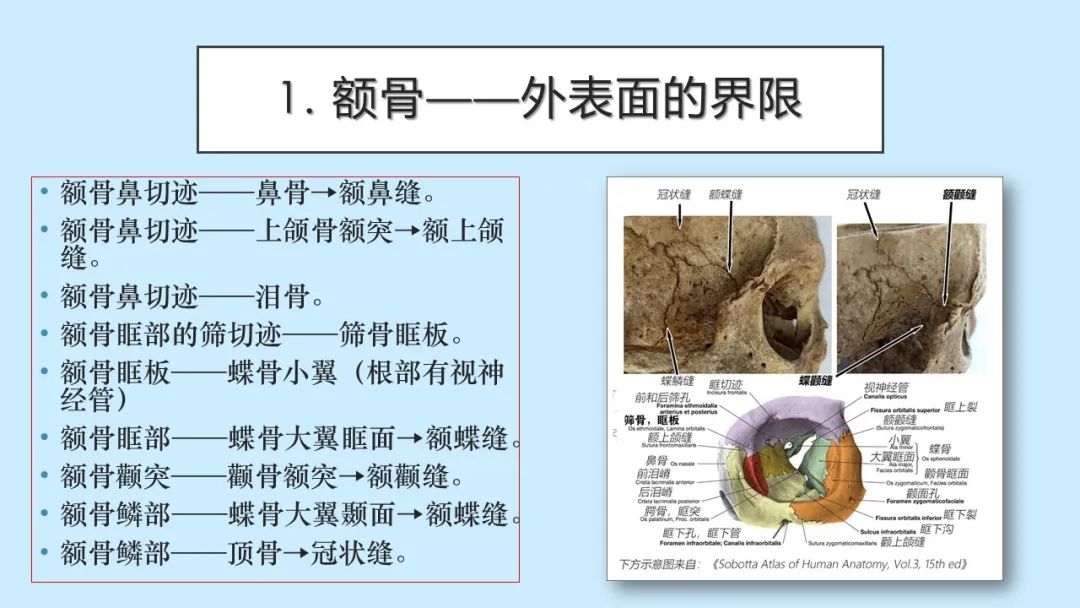 影像PPT - 【PPT】颅骨的孔裂、缝及骨折线CT读片-4