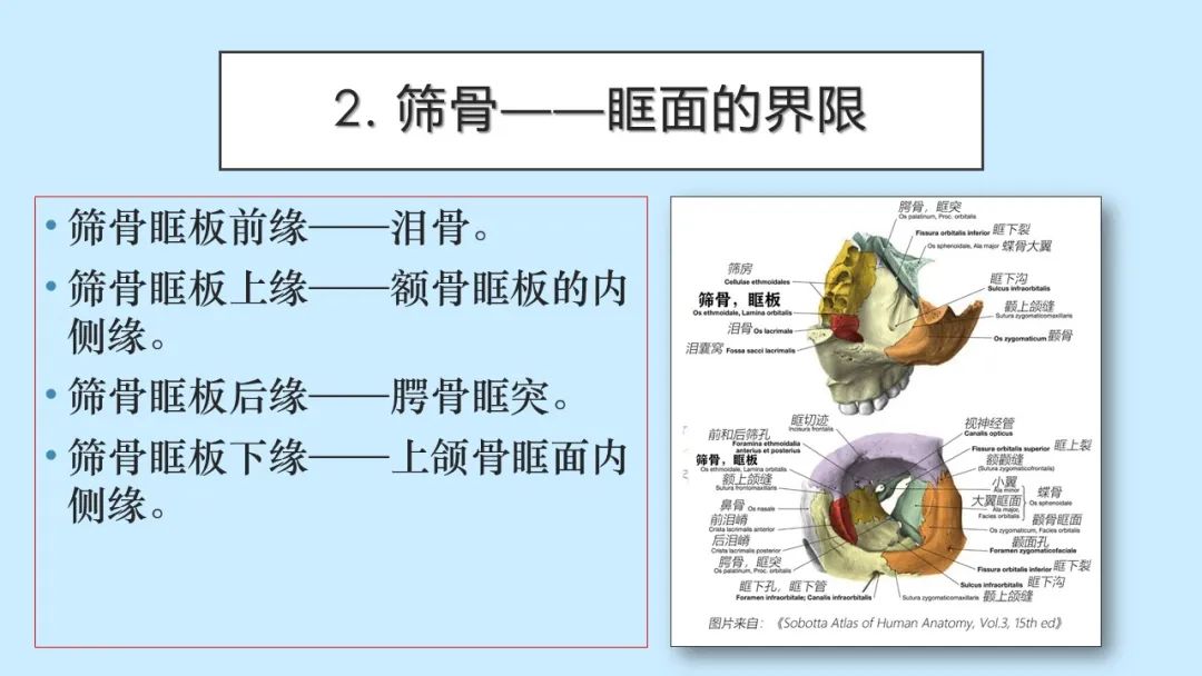 影像PPT - 【PPT】颅骨的孔裂、缝及骨折线CT读片-6