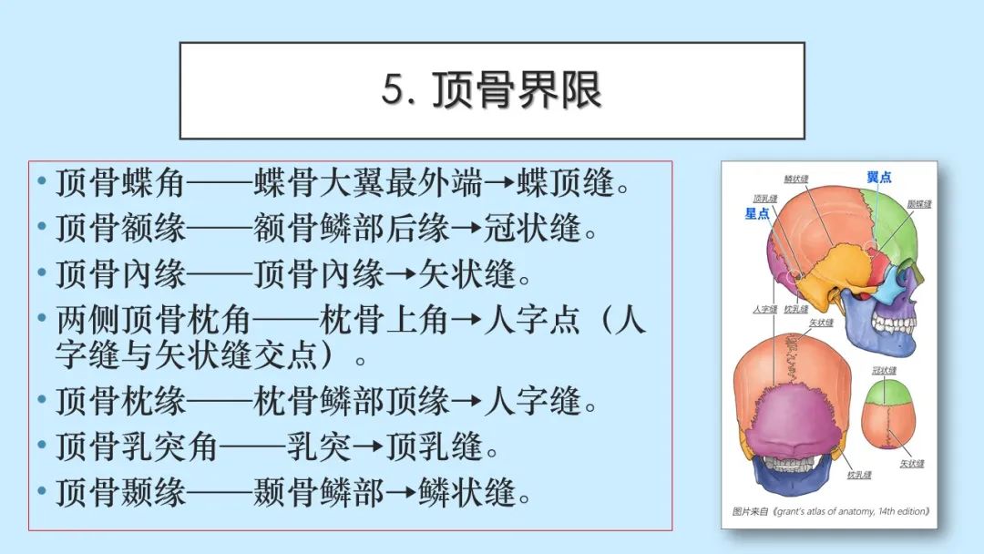 影像PPT - 【PPT】颅骨的孔裂、缝及骨折线CT读片-12