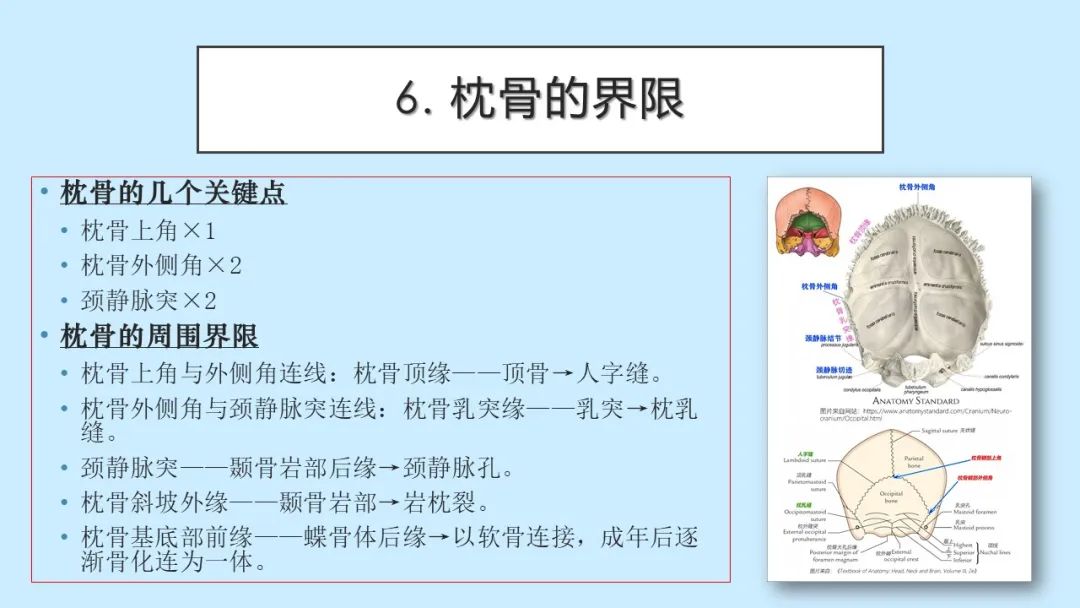 影像PPT - 【PPT】颅骨的孔裂、缝及骨折线CT读片-13