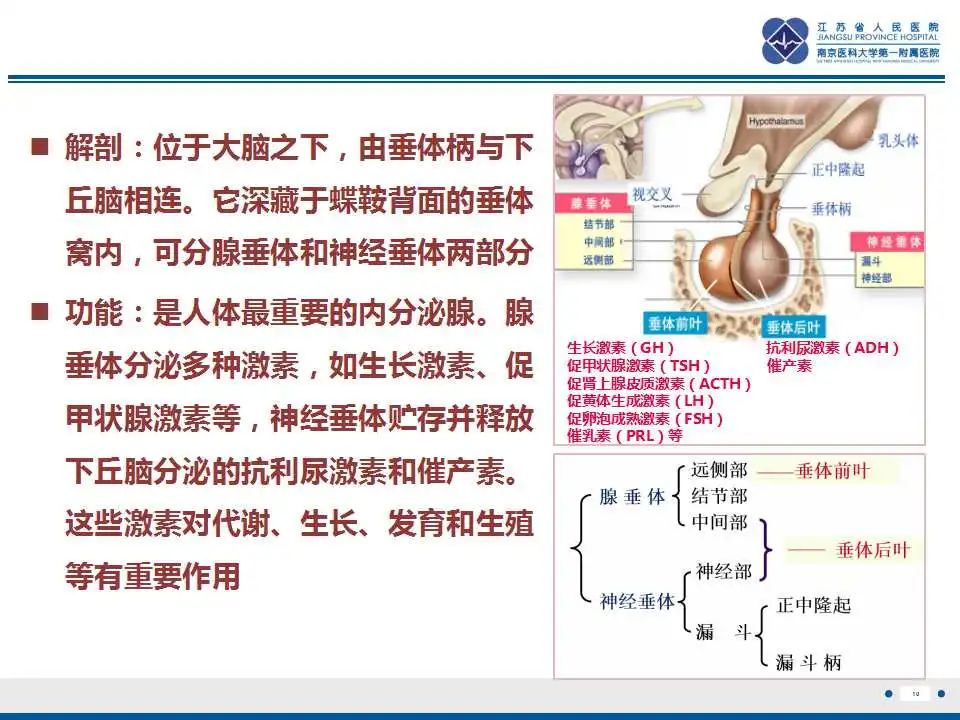 影像PPT - 【PPT】神经垂体颗粒细胞瘤-11