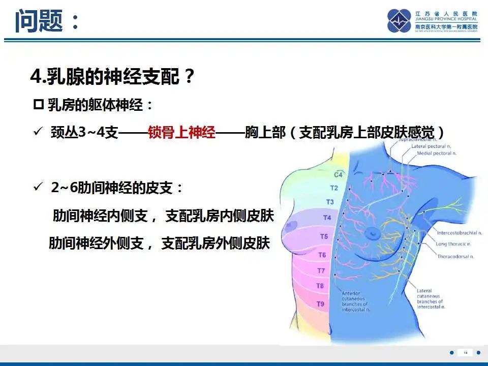 影像PPT - 【PPT】乳腺颗粒细胞瘤-19