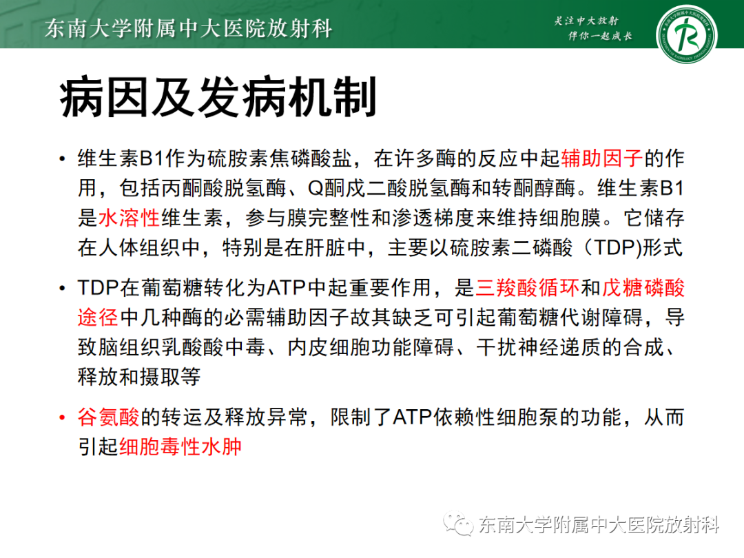 影像PPT - 【PPT】Wernicke脑病-5