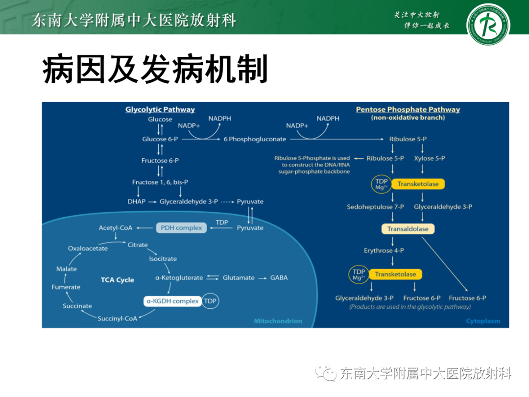 影像PPT - 【PPT】Wernicke脑病-6