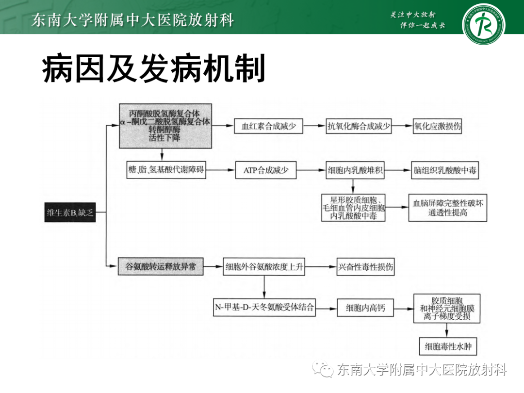 影像PPT - 【PPT】Wernicke脑病-7
