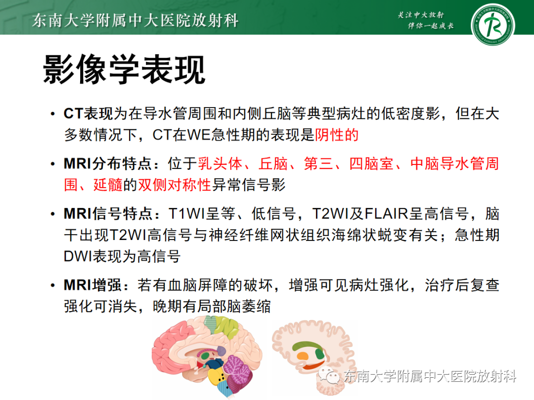 影像PPT - 【PPT】Wernicke脑病-11