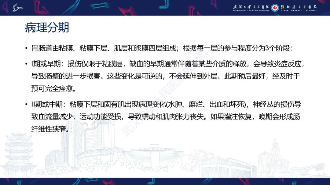 影像PPT - 【PPT】急性肠缺血影像诊断-10